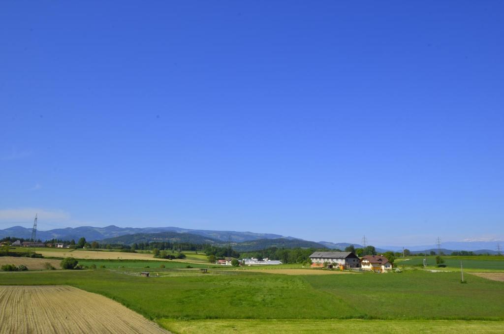 Ferienwohnungen Presslauer Mori - Haus Irmgard Sankt Kanzian am Klopeiner See Oda fotoğraf